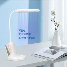 핀큐어젤램프