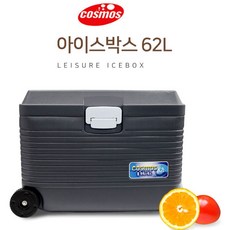 갈치쿨러62