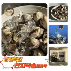 [굿피플] 새꼬막 벌교꼬막 벌교세꼬막 꼬막비빔장 참꼬막, 1박스, 새꼬막(대) 1kg (85미 내외)
