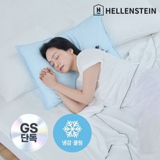 [GS단독] 헬렌스타인 오로라 냉감이불 SS세트(이불+베개커버1장), 색상:퓨어블루