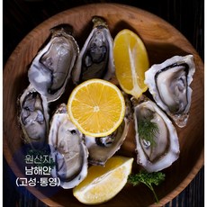 국내산 통영생굴 깐굴 석화, 1박스, 1kg