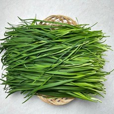 [농부곳간]당일 작업한 국내산 부추 1kg, 1개