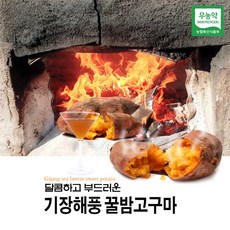 유기농 해풍고구마 5kg (꼬마)(중/대) 꿀밤고구마, 5kg ( 한입/소 )