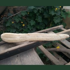 한살림건티슈