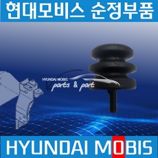 뉴파워트럭 트라고 메가와이드캡 탑 전면 부싱 현대모비스 순정 642397C200-DS, 1개