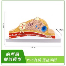 040b6d3b9cc9bc16ad21b9ddfe59d22bdc713d0f3cbfab5c593b5d3e9e3e.jpg