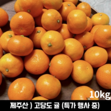 제주산 ) 달콤 감귤 10kg 5kg (특가) 제주도귤5kg 귤 과일 하우스귤 귤10kg 밀감 귤3kg 제주귤 하우스감귤