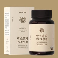 올데이수프
