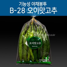 기능성 포장 야채봉투 오이맛고추봉투 B-28 200장, 99998