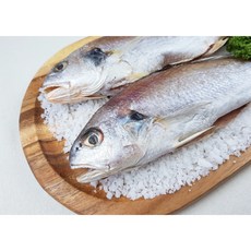 무염조기