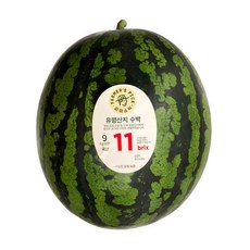 수박9kg
