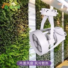 햇빛아래식물등