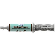 오메가알파 엔듀라포스 캐나다 말전문 지구력영양제 Omegaalpha EnduraForce, 1개