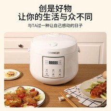 광파만능요리기