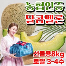 머스크멜론선물세트