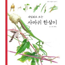 세밀화로 보는 사마귀 한살이, 길벗어린이, 권혁도 세밀화 그림책 시리즈