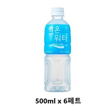 사랑주는쇼핑몰 이온워터 500ml x 6페트