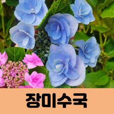 bba4b71bcae39589f790cbb7d4271cf6b939c8debfc450af32bdb005ab90.jpg
