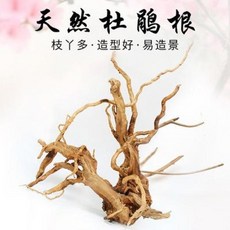 코카서스장수풍뎅이 톱사슴벌레 파충함 조경수 등나무 가지 아크릴 수궁수서 천연 뿌리 조경 파충류 사육 항아리 장식품, 01 스몰 한 개 1520cm 정도