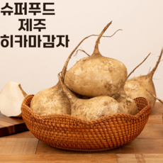 [슈퍼푸드] 제주 히카마 얌빈 멕시코감자, 제주 히카마 못난이5kg(혼합), 1개