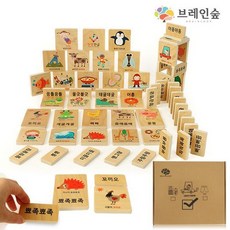 브레인숲도미노