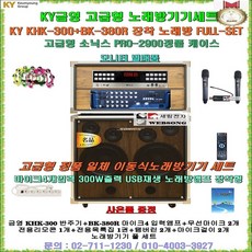 금영가정용 이동식노래방기기 KHK-300+BK-380R+소닉스2900케이스+24형LED-TV장착 노래방풀세트/고급형/USB지원/행사장-휴계실-음악실-회관용 노래방기기풀세트/세림전자, 일반형(TV별매품)-무선마이크 타입