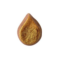 러쉬써니사이드