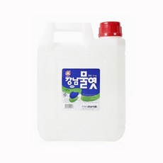 요리 이온 물엿 주니네 9kg 강남 이온주니네식품, 주니네식품1_wsa