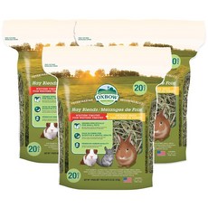 옥스보우친칠라사료