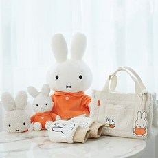 파크골프책