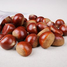 청대밤