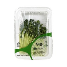 수경재배 국내직송 무순팩 50g 1팩, 1개