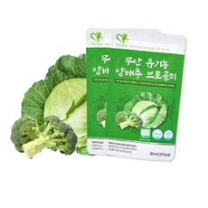 양배추쿨링팩