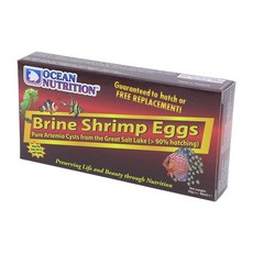 브라인쉬림프부화