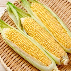 농장직송 달콤한 초당옥수수