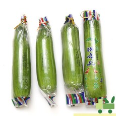롯데마트애호박