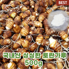 국내산 국산 토란 가루 500g 곡성 토란 분말 건강 음식 웰빙 푸드 몸에 좋은 뿌리 채소 야채