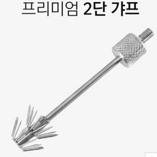 무늬오징어갸프