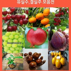 //상품명