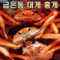 러시아박달대게