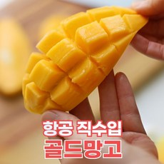 장보남망고
 [항공직송] 망고 태국 골드 당도보장 황제망고 코끼리망고 mango 1kg 2kg 2.5kg 4kg 5kg 1박스 2kg(4~6과)