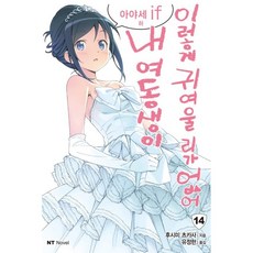 내가좋아하는건여동생이지만여동생이아니야