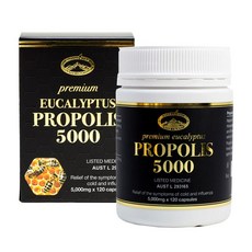 네이쳐스탑 호주 프로폴리스 5000mg 120캡슐 프리미엄 유칼립투스 플라보노이드, 단품, 120개, 1개