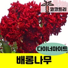 de18d325bcab5d30f3c4498c3e9f13a5e9c068f369cf8c0aac206a392c20.jpg