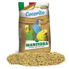마니토바 잉꼬 사랑앵무 먹이 6020, 20kg, 1개