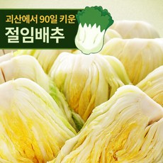 명가일품절임배추