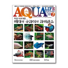아쿠아 라이프 Aqua Life 2024 7월호