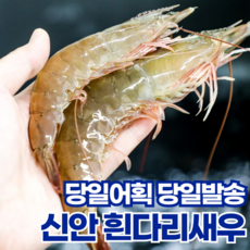 [당일조업] 산지직송 국산 신안 활 왕 새우 흰다리새우, 1kg, 1개