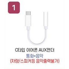 s22이어폰젠더