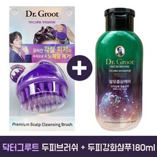 닥터그루트두피브러쉬